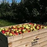 Rudis Obstgarten Apartment *