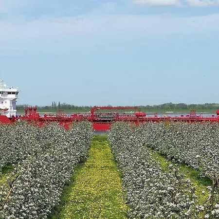 Rudis Obstgarten Apartmán Jork