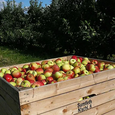 Rudis Obstgarten Apartmán *