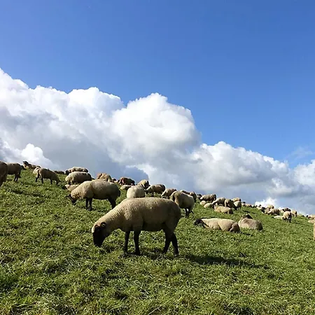 Apartmán Rudis Obstgarten *